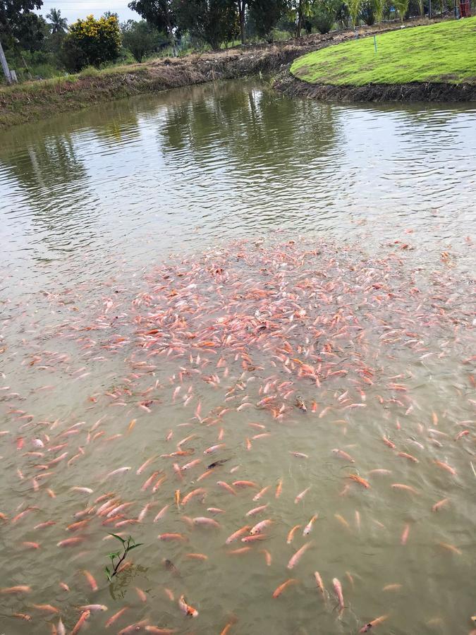 Menam Resort Nakhon Pathom Esterno foto