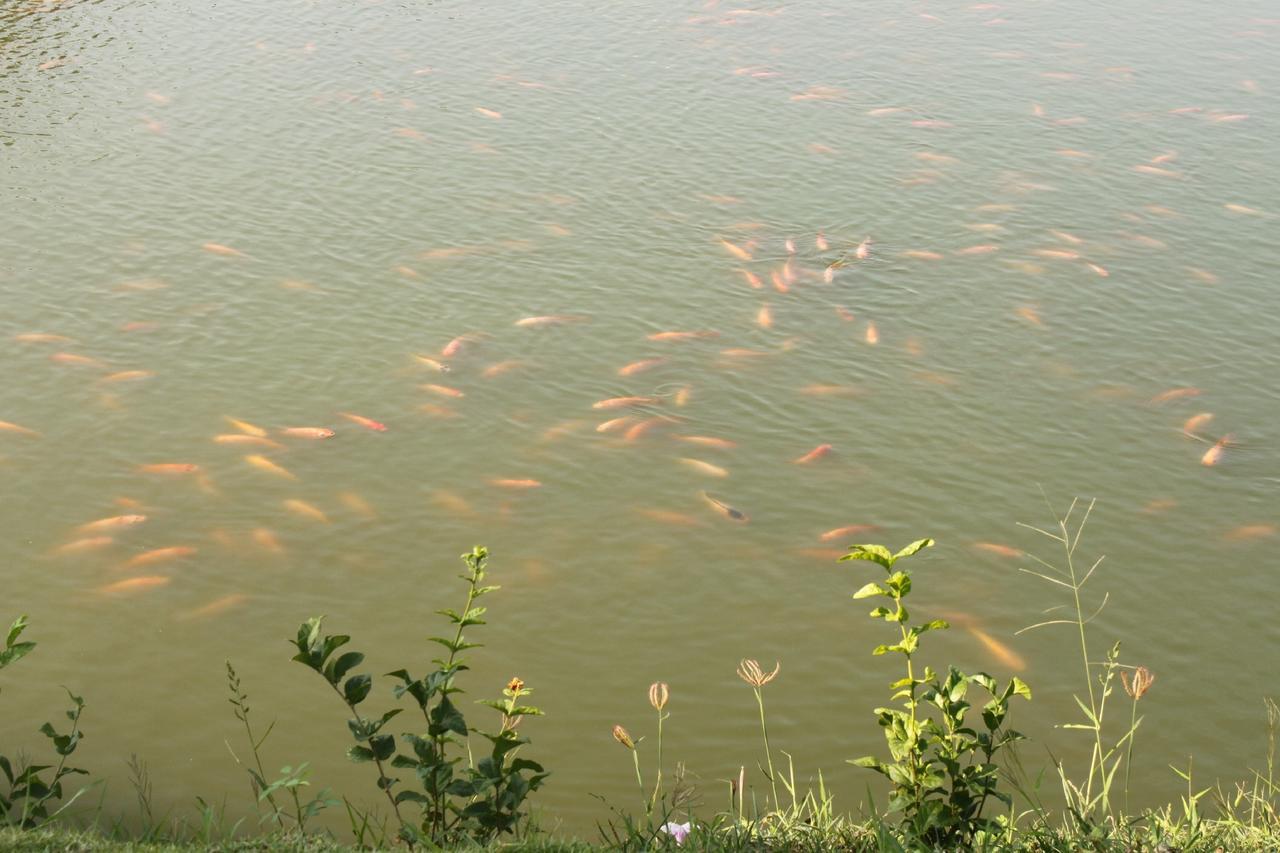 Menam Resort Nakhon Pathom Esterno foto